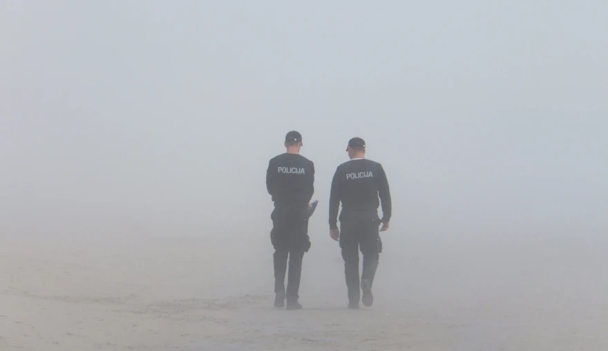 Plural policing during health emergencies and natural disasters