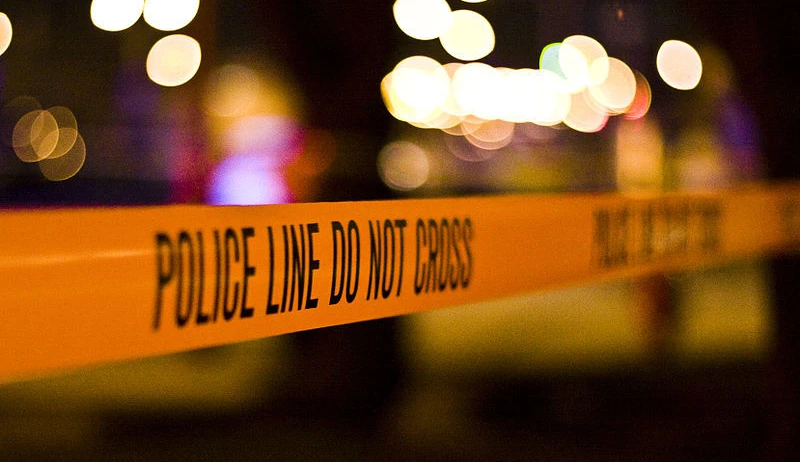 Homicide and Immigration: Trends and Developments
