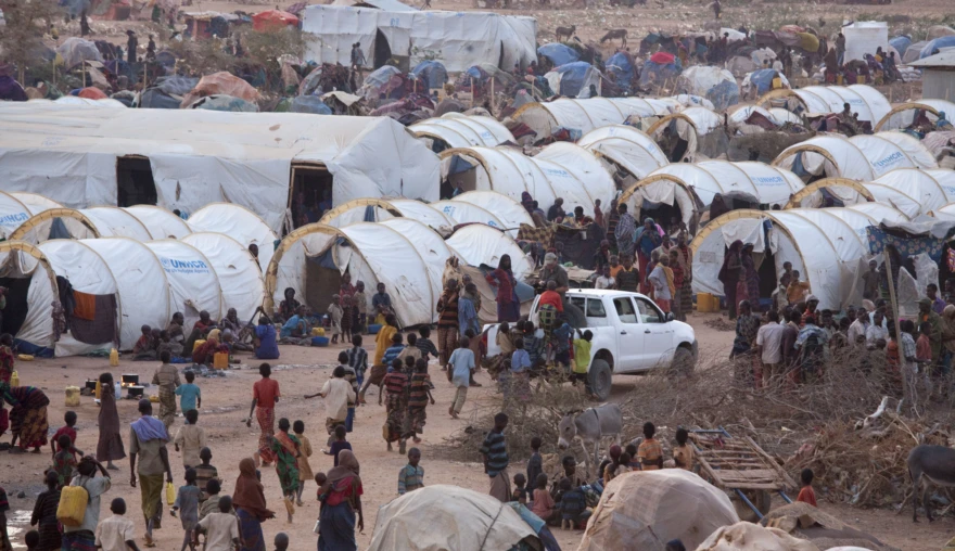 Sexual Violence in the Humanitarian Sector