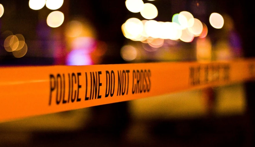 The Flow of Homicide Through the System
