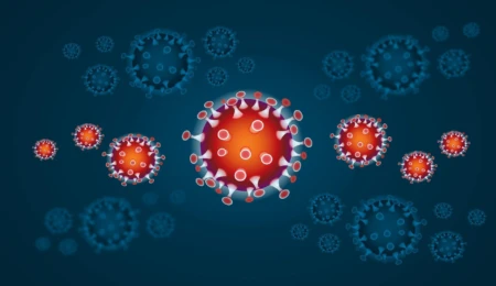 Improving the EU Response to Pandemics: key lessons from other crisis management domains