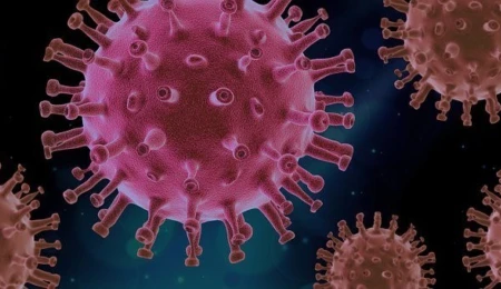 How COVID-19 exposes the vulnerability of public leaders,  and what science can do about it