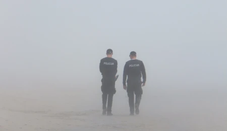 Plural policing during health emergencies and natural disasters