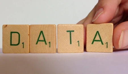 The Dutch Digital Infrastructure Part 2: Digital (mis)behaviour in the future