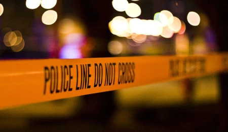 Homicide and Immigration: Trends and Developments