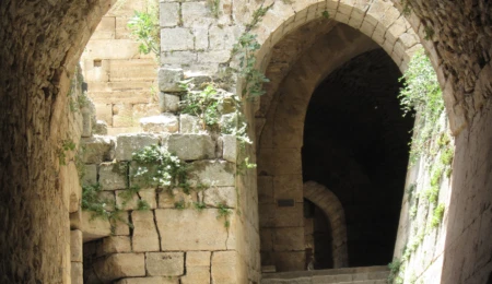 Podcast Episode 4: Follow the Arabic Road - Journey into the Heart of a Language