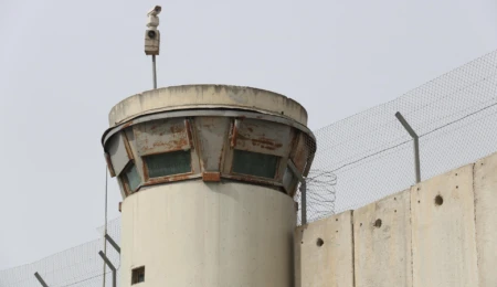 A Colonial Echo? Exploring State Terrorism Through Dutch Colonial History and the Gaza Conflict