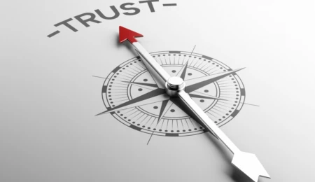 Political institutions, trust, and security
