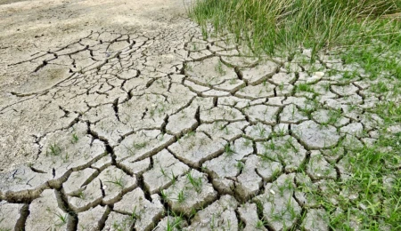 The Complex Relationship Between Climate Change and Conflict