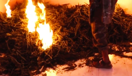Islamic State’s Ambivalent Relation to Drugs