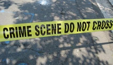 Kids who kill in the Netherlands: What do we know?