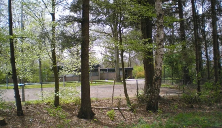 Extremism and the influx of refugees in the Netherlands