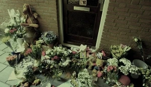 Understanding Domestic Homicide: A Quick Overview of the Dutch Context