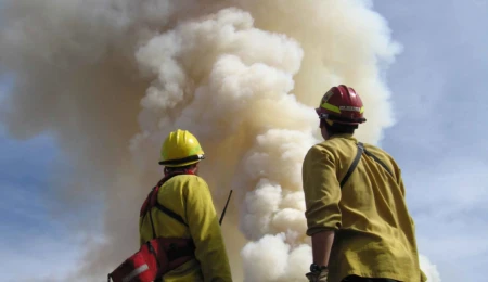 Understanding the Emergency Services from an Organizational Systems Perspective
