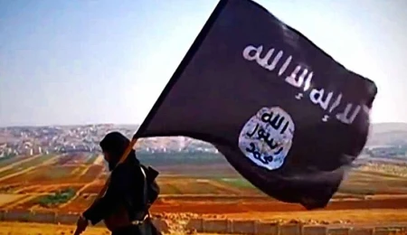 Dutch and Belgian jihadist foreign fighters: who, why, and what?
