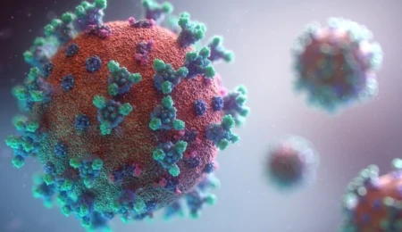 The Economics of Coronavirus*