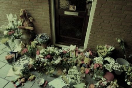 Understanding Domestic Homicide: A Quick Overview of the Dutch Context